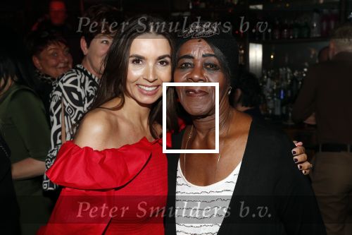 Amsterdam 14 februari 2019
Feestje voor de kluivert dog rescue foundation in het toppers cafe. Rosanna Kluivert met schoonmoeder , moeder van Patrick