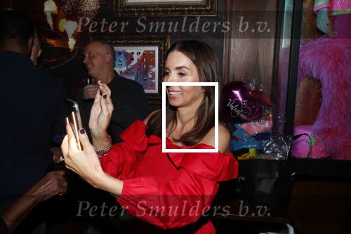 Amsterdam 14 februari 2019
Feestje voor de kluivert dog rescue foundation in het toppers cafe. Rosanna Kluivert