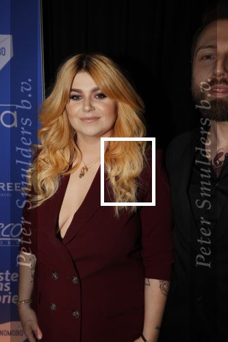 Amsterdam 11 februari 2019
Uitreiking Edisons bij de westergasfabriek. Roxeanne Hazes met vriend Erik Zwennes