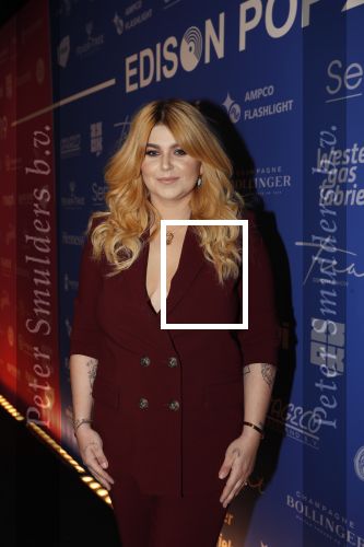 Amsterdam 11 februari 2019
Uitreiking Edisons bij de westergasfabriek. Roxeanne Hazes met vriend Erik Zwennes