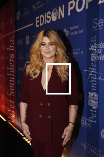 Amsterdam 11 februari 2019
Uitreiking Edisons bij de westergasfabriek. Roxeanne Hazes met vriend Erik Zwennes