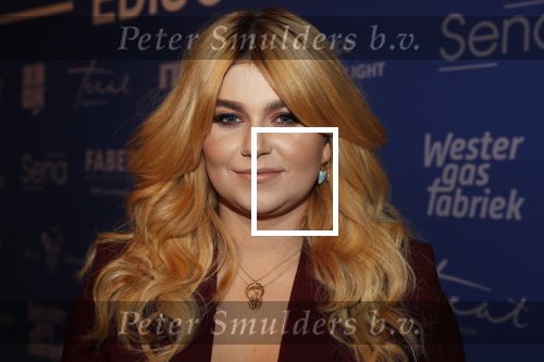 Amsterdam 11 februari 2019
Uitreiking Edisons bij de westergasfabriek. Roxeanne Hazes met vriend Erik Zwennes