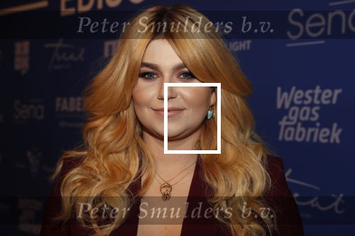 Amsterdam 11 februari 2019
Uitreiking Edisons bij de westergasfabriek. Roxeanne Hazes met vriend Erik Zwennes