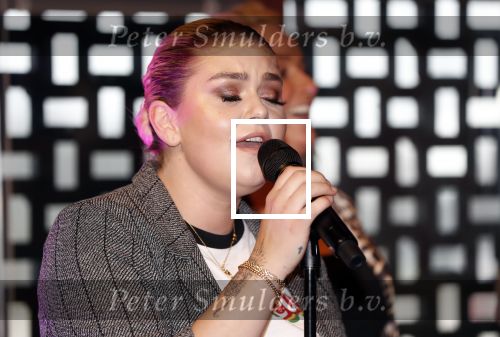 Amsterdam 28 februari 2019
Opening heel holland zingt Hazes cafe in het ziggo dome. Aanwezig Roxeanne Hazes Jeroen v d Boom Danny de Munk en Samantha Steenwijk.