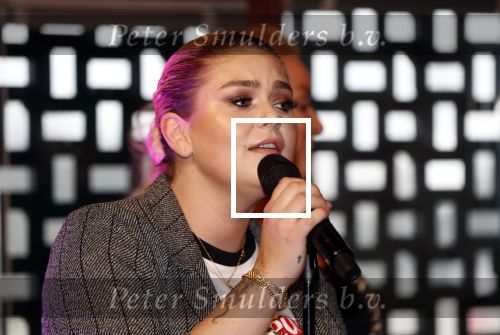 Amsterdam 28 februari 2019
Opening heel holland zingt Hazes cafe in het ziggo dome. Aanwezig Roxeanne Hazes Jeroen v d Boom Danny de Munk en Samantha Steenwijk.