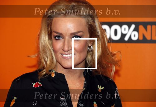 Amsterdam 7 februari 2019
Uitreiking 100%NL awards. Samantha Steenwijk kwam met haar partner