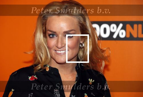 Amsterdam 7 februari 2019
Uitreiking 100%NL awards. Samantha Steenwijk kwam met haar partner