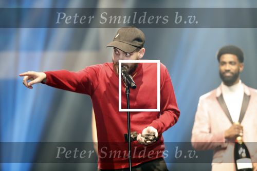 Amsterdam 11 februari 2019
Uitreiking Edisons bij de westergasfabriek. San Holo
