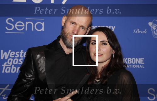 Amsterdam 11 februari 2019
Uitreiking Edisons bij de westergasfabriek. Sharon den Adel en partner Robert Westerholt