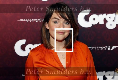 Amsterdam 10 februari 2019
Premiere Corgi in pathe arena. Sofie van den Enk met partner Andre van den Heuvel met zoon Magnus en dochter Reina