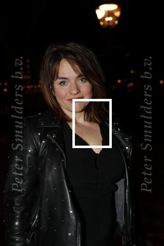 Amsterdam 15 februari 2019
Premiere de verleiders in Carre. Sophie
van den Enk
