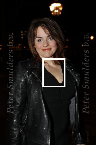 Amsterdam 15 februari 2019
Premiere de verleiders in Carre. Sophie
van den Enk