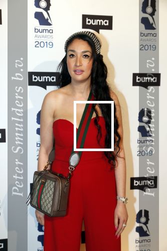 Hilversum 11 maart 2019
Uitreiking BUMA prijzen in studio 21. Soundos