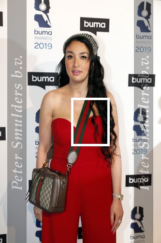 Hilversum 11 maart 2019
Uitreiking BUMA prijzen in studio 21. Soundos