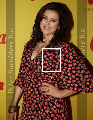 Hilversum, 11 Februari 2019 Premiere Verliefd op Cuba
Susan Visser