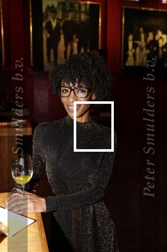 Bussum 6 maart 2019
Boekpresentatie van Lex Harding. Sylvana Simons