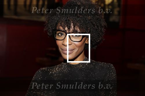 Bussum 6 maart 2019
Boekpresentatie van Lex Harding. Sylvana Simons