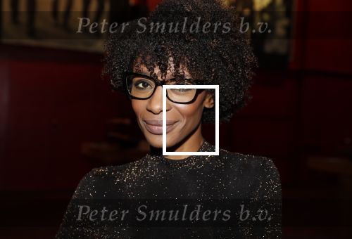 Bussum 6 maart 2019
Boekpresentatie van Lex Harding. Sylvana Simons