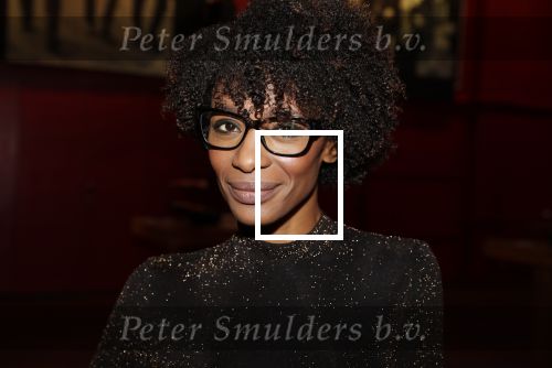 Bussum 6 maart 2019
Boekpresentatie van Lex Harding. Sylvana Simons