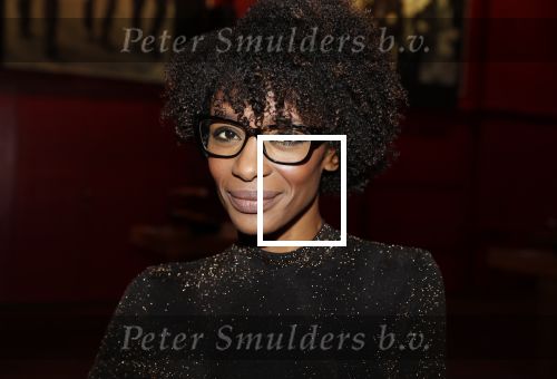 Bussum 6 maart 2019
Boekpresentatie van Lex Harding. Sylvana Simons