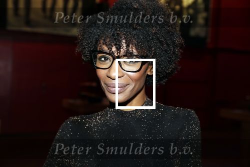 Bussum 6 maart 2019
Boekpresentatie van Lex Harding. Sylvana Simons