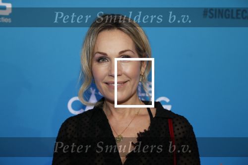 Amsterdam 7 maart 2019
Premiere Single camping in nieuwe delamar theater. tanja Jess kwam met een vriendin