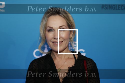 Amsterdam 7 maart 2019
Premiere Single camping in nieuwe delamar theater. tanja Jess kwam met een vriendin