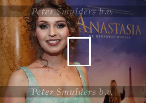 Amsterdam 14 februari 2019
Presentatie Cast Anastasia . De cast bestaat uit Carline Brouwer, Ad Knippels, Ellen Evers, Milan van Waardenburg, Tessa Sunniva van Tol, Rene van Kooten, Gerrie van der Klei.  Albert Verlinde van stage entertainment presenteert de cast van de Broadway musical Anastasia in Hermitage Amsterdam.