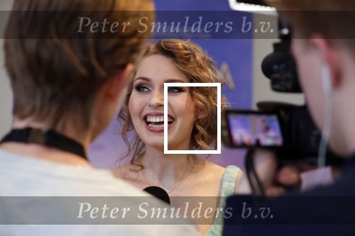 Amsterdam 14 februari 2019
Presentatie Cast Anastasia . De cast bestaat uit Carline Brouwer, Ad Knippels, Ellen Evers, Milan van Waardenburg, Tessa Sunniva van Tol, Rene van Kooten, Gerrie van der Klei.  Albert Verlinde van stage entertainment presenteert de cast van de Broadway musical Anastasia in Hermitage Amsterdam.