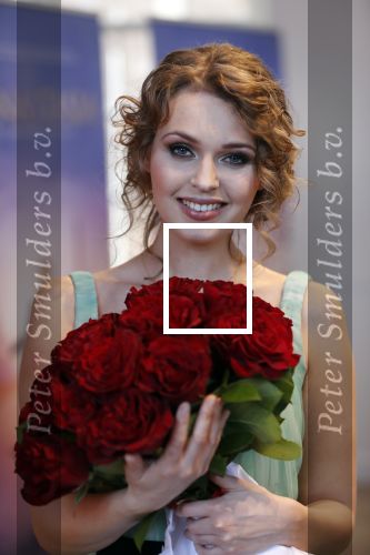 Amsterdam 14 februari 2019
Presentatie Cast Anastasia . De cast bestaat uit Carline Brouwer, Ad Knippels, Ellen Evers, Milan van Waardenburg, Tessa Sunniva van Tol, Rene van Kooten, Gerrie van der Klei.  Albert Verlinde van stage entertainment presenteert de cast van de Broadway musical Anastasia in Hermitage Amsterdam.
