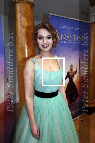 Amsterdam 14 februari 2019
Presentatie Cast Anastasia . De cast bestaat uit Carline Brouwer, Ad Knippels, Ellen Evers, Milan van Waardenburg, Tessa Sunniva van Tol, Rene van Kooten, Gerrie van der Klei.  Albert Verlinde van stage entertainment presenteert de cast van de Broadway musical Anastasia in Hermitage Amsterdam.