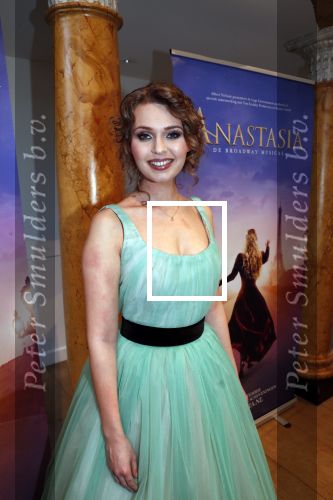 Amsterdam 14 februari 2019
Presentatie Cast Anastasia . De cast bestaat uit Carline Brouwer, Ad Knippels, Ellen Evers, Milan van Waardenburg, Tessa Sunniva van Tol, Rene van Kooten, Gerrie van der Klei.  Albert Verlinde van stage entertainment presenteert de cast van de Broadway musical Anastasia in Hermitage Amsterdam.