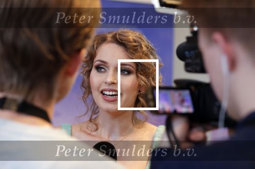 Amsterdam 14 februari 2019
Presentatie Cast Anastasia . De cast bestaat uit Carline Brouwer, Ad Knippels, Ellen Evers, Milan van Waardenburg, Tessa Sunniva van Tol, Rene van Kooten, Gerrie van der Klei.  Albert Verlinde van stage entertainment presenteert de cast van de Broadway musical Anastasia in Hermitage Amsterdam.