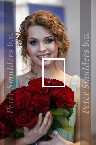 Amsterdam 14 februari 2019
Presentatie Cast Anastasia . De cast bestaat uit Carline Brouwer, Ad Knippels, Ellen Evers, Milan van Waardenburg, Tessa Sunniva van Tol, Rene van Kooten, Gerrie van der Klei.  Albert Verlinde van stage entertainment presenteert de cast van de Broadway musical Anastasia in Hermitage Amsterdam.
