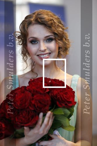 Amsterdam 14 februari 2019
Presentatie Cast Anastasia . De cast bestaat uit Carline Brouwer, Ad Knippels, Ellen Evers, Milan van Waardenburg, Tessa Sunniva van Tol, Rene van Kooten, Gerrie van der Klei.  Albert Verlinde van stage entertainment presenteert de cast van de Broadway musical Anastasia in Hermitage Amsterdam.