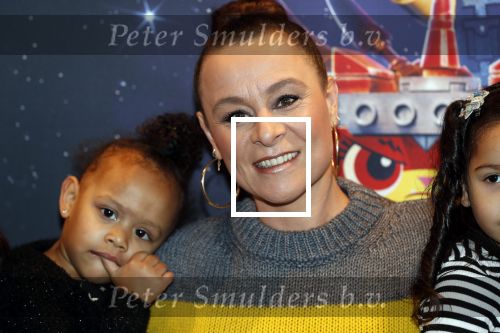 Utrecht 3 februari 2019
Premiere Lego film in de bioscoop bij de jaarbeurs. Trijntje Oosterhuis kwam met haar dochtertje