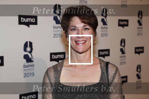 Hilversum 11 maart 2019
Uitreiking BUMA prijzen in studio 21. Vanessa Lan met man
