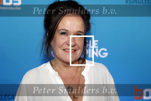 Amsterdam 7 maart 2019
Premiere Single camping in nieuwe delamar theater. Xandra Brood kwam met een kennis
