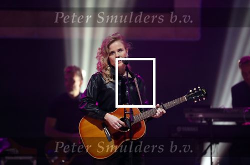 Amsterdam 11 februari 2019
Uitreiking Edisons bij de westergasfabriek. ilse de Lange