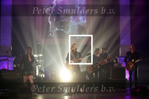 Amsterdam 11 februari 2019
Uitreiking Edisons bij de westergasfabriek. ilse de Lange