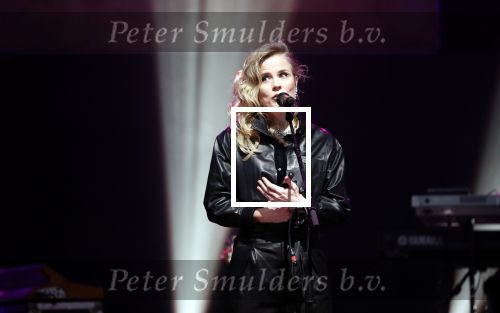 Amsterdam 11 februari 2019
Uitreiking Edisons bij de westergasfabriek. ilse de Lange