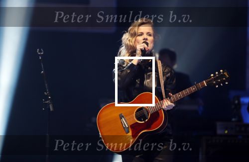 Amsterdam 11 februari 2019
Uitreiking Edisons bij de westergasfabriek. ilse de Lange