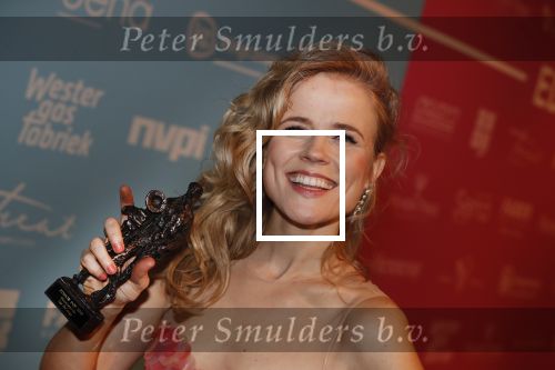 Amsterdam 11 februari 2019
Uitreiking Edisons bij de westergasfabriek. ilse de Lange