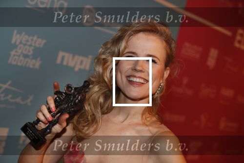 Amsterdam 11 februari 2019
Uitreiking Edisons bij de westergasfabriek. ilse de Lange