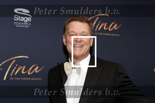 Utrecht 9 februari 2020
Premiere Tina Turner musical in het Beatrix Theater.
Albert Verlinde