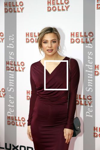 Rotterdam 8 maart 2020
Premiere Hello Dolly in het nieuwe Luxor. Amber Delil
