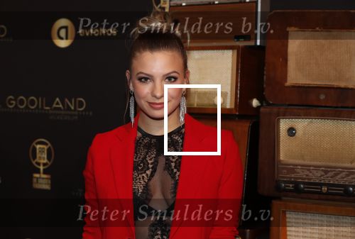 Hilversum 30 januari 2020
Radioring gala in theater gooiland . Amber Delil