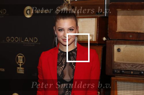Hilversum 30 januari 2020
Radioring gala in theater gooiland . Amber Delil