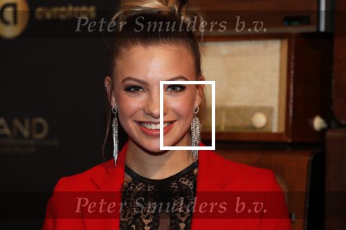 Hilversum 30 januari 2020
Radioring gala in theater gooiland . Amber Delil