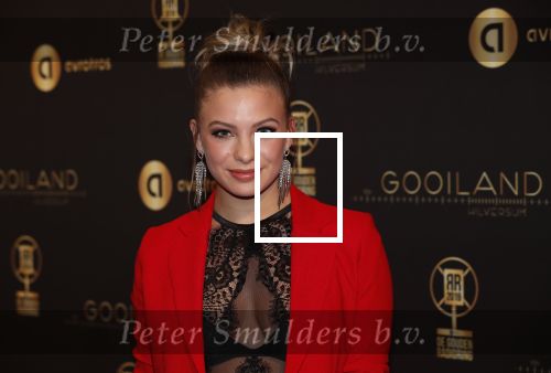 Hilversum 30 januari 2020
Radioring gala in theater gooiland . Amber Delil